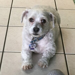 Fundraising Page: Elsa Colon